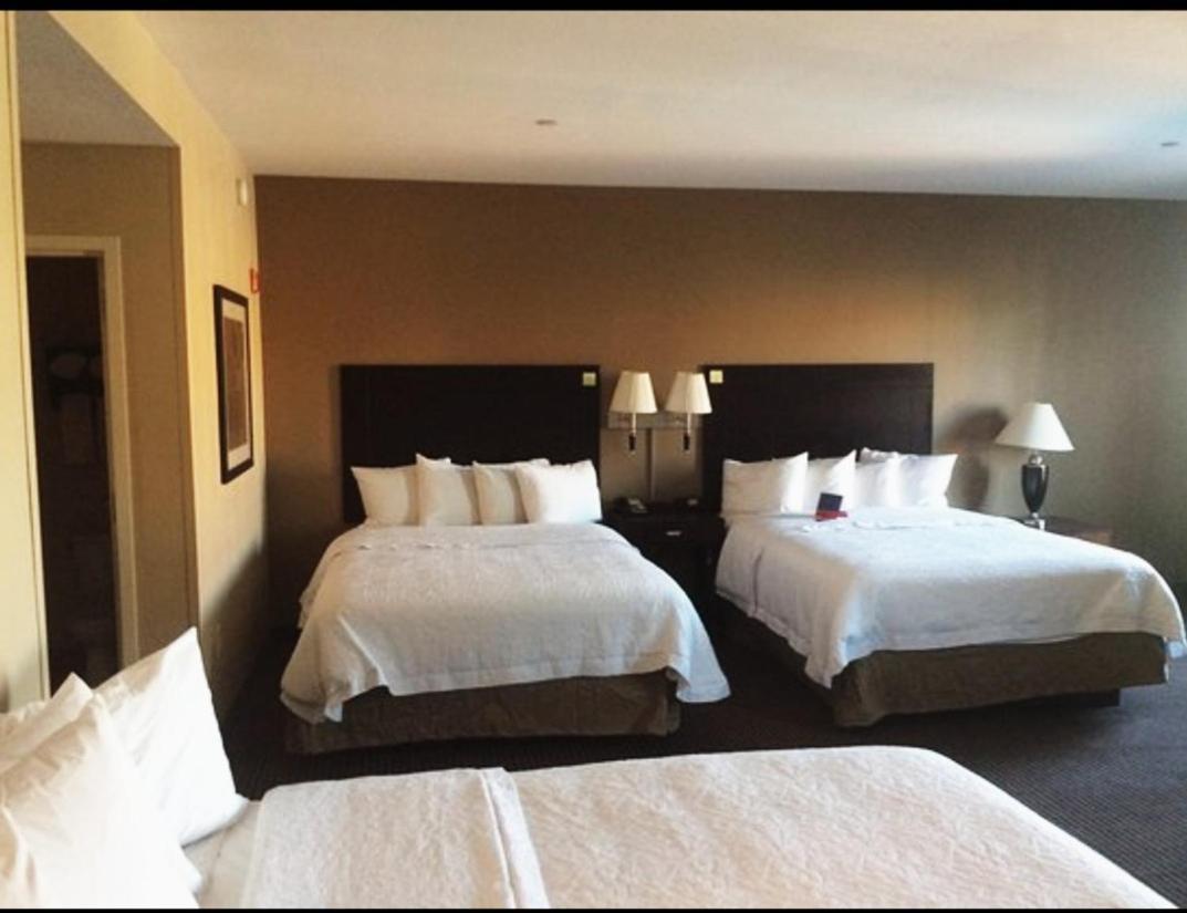 London Guest Room Eksteriør bilde